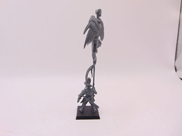 Captain of the Empire with Battle Standard