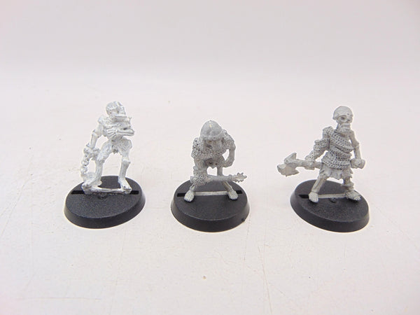 C17 Skeletons