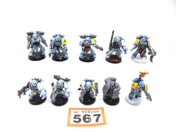 Wolf Guard