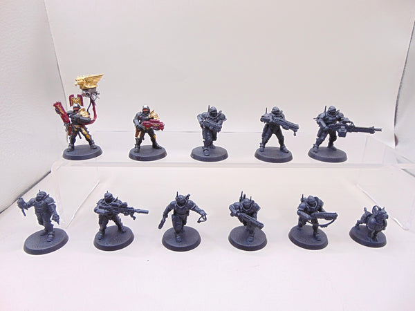 Adeptus Arbites Vigilant Squad