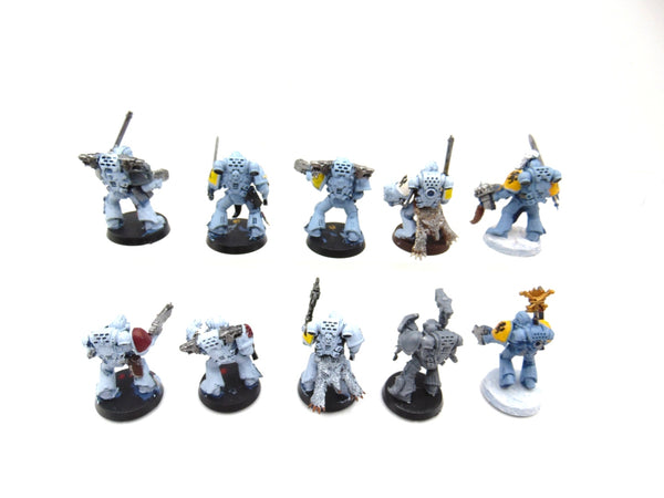 Wolf Guard