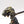 Raptors Conversions