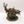 Rotigus