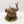 Rotigus