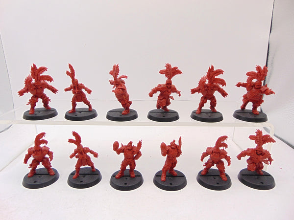 Imperial Nobility Blood Bowl Team: The Bögenhafen Barons