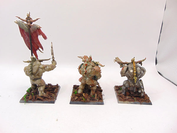 Minotaur Herd