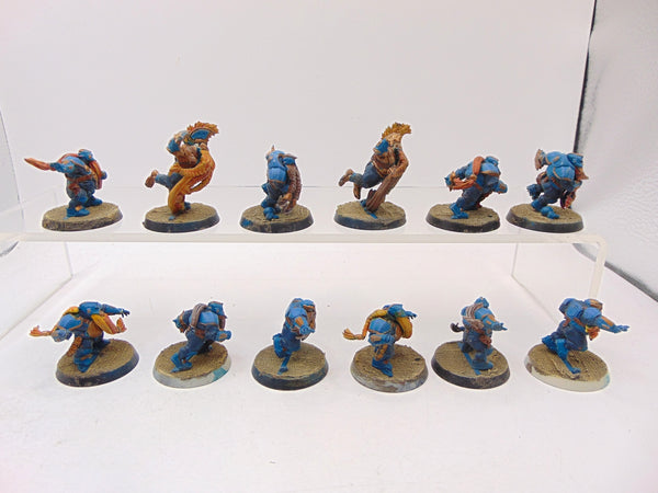 Dwarf Team: The Dwarf Giants