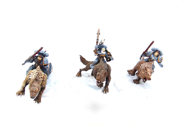 Thunderwolf Cavalry