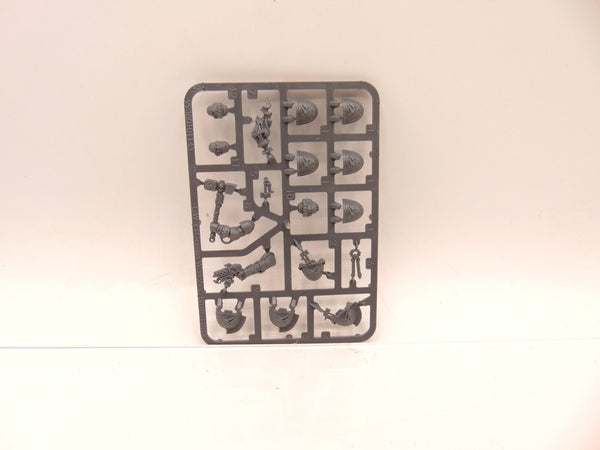 Salamanders Primaris Upgrades