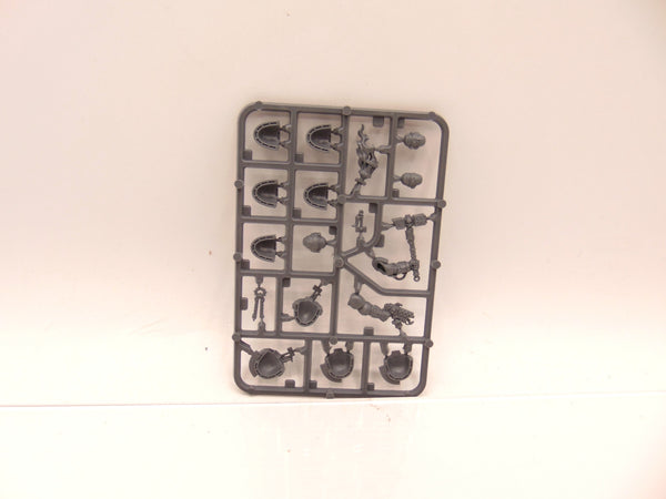 Salamanders Primaris Upgrades