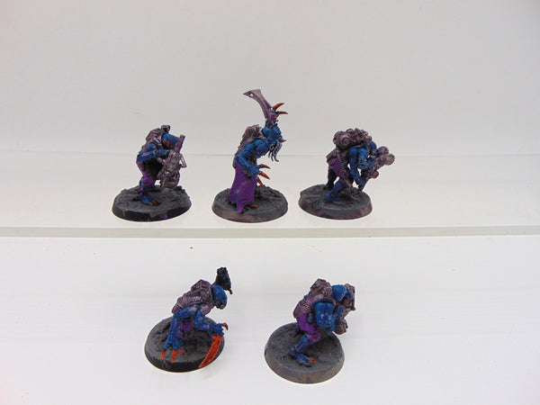 Acolyte Hybrids