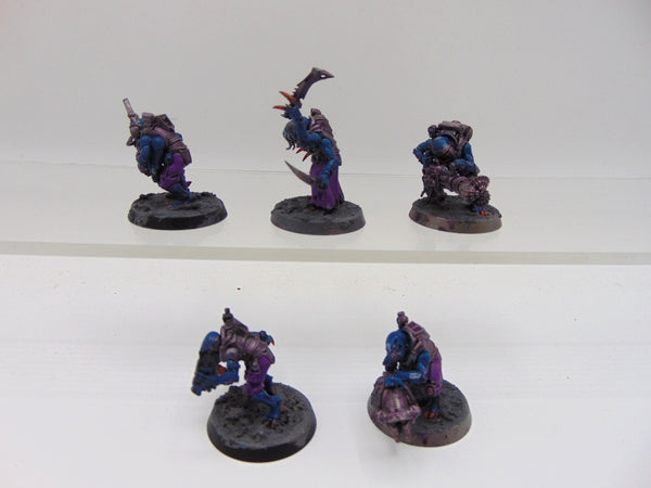 Acolyte Hybrids