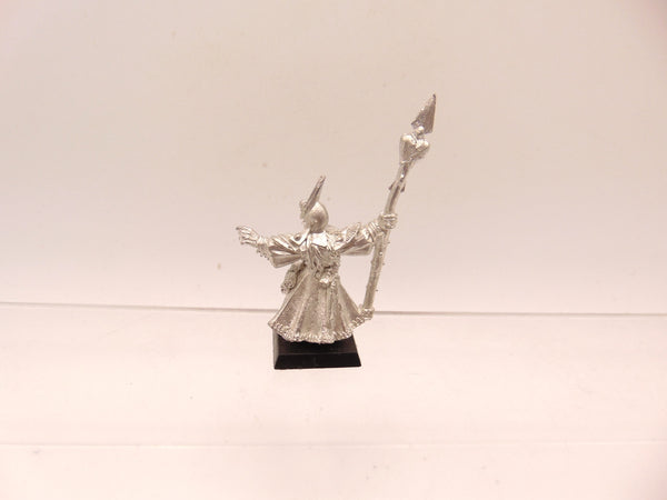 Dark Elf Sorcerer