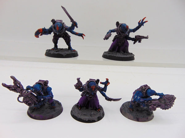 Acolyte Hybrids