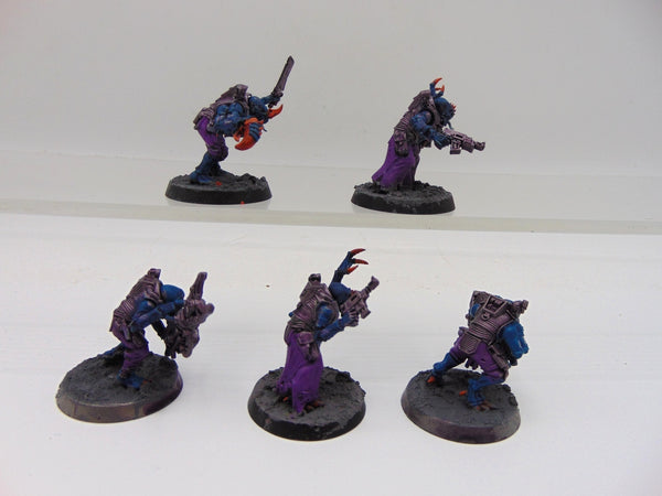 Acolyte Hybrids