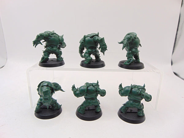 Black Orc Blood Bowl Team: The Thunder Valley Greenskins
