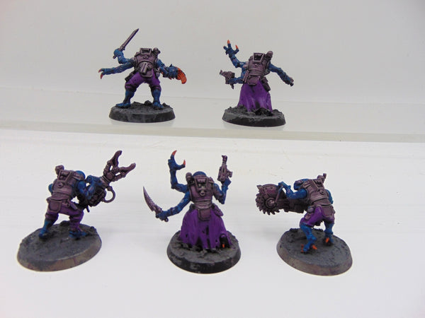 Acolyte Hybrids
