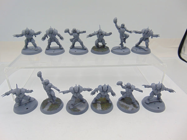 Human Team: Reikland Reavers