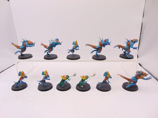 Lizardmen Blood Bowl Team – Gwaka'moli Crater Gators