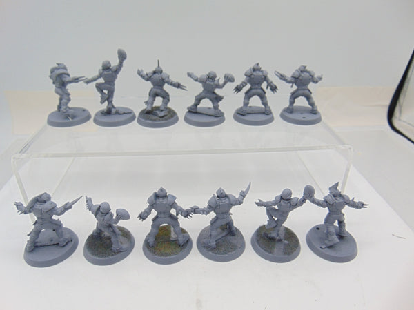 Human Team: Reikland Reavers