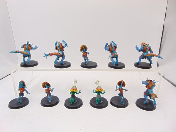 Lizardmen Blood Bowl Team – Gwaka'moli Crater Gators
