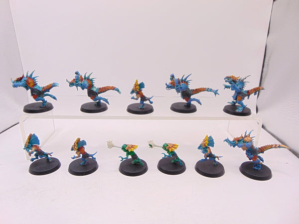 Lizardmen Blood Bowl Team – Gwaka'moli Crater Gators