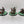 Cults Heavy Weapon Teams