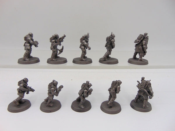 Neophyte Hybrids
