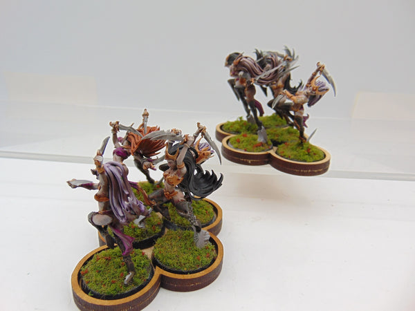 Witch Aelves