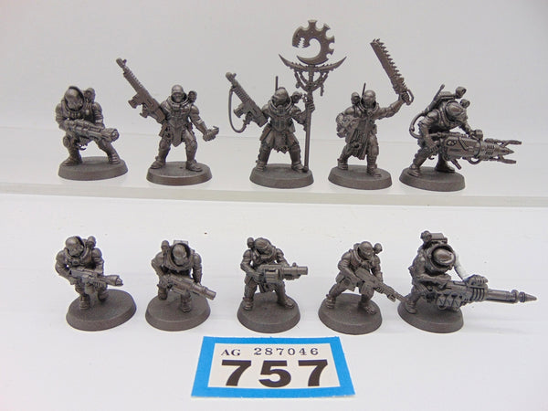 Neophyte Hybrids