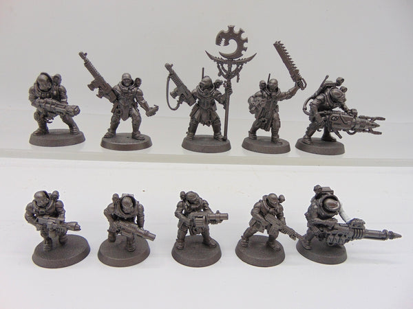 Neophyte Hybrids