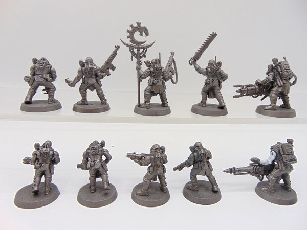 Neophyte Hybrids