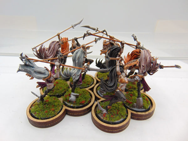 Witch Aelves