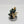 Primaris Captain