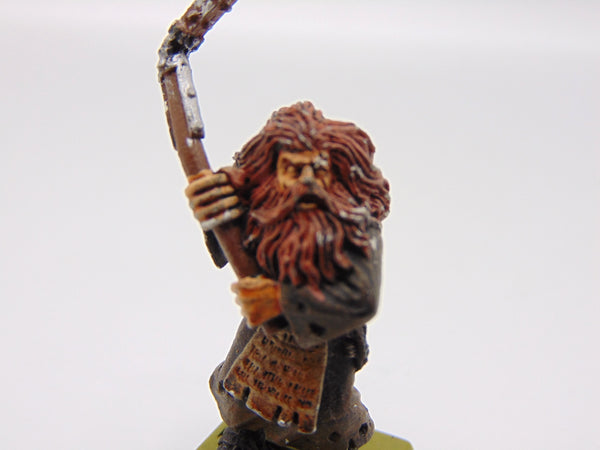 Witch Hunter Flagellant