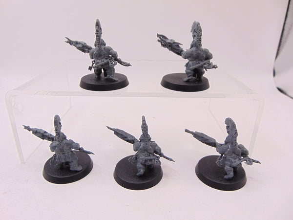Auric Hearthguard