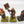 Flagellants