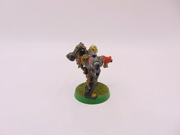 Plague Marine Champion