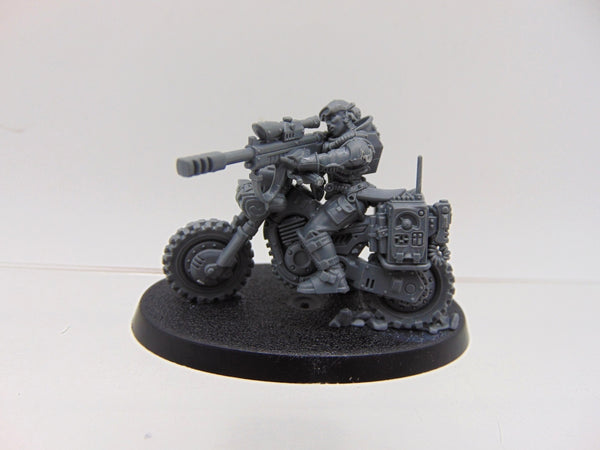 Jackal Alphus