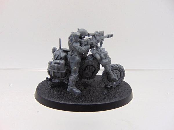 Jackal Alphus