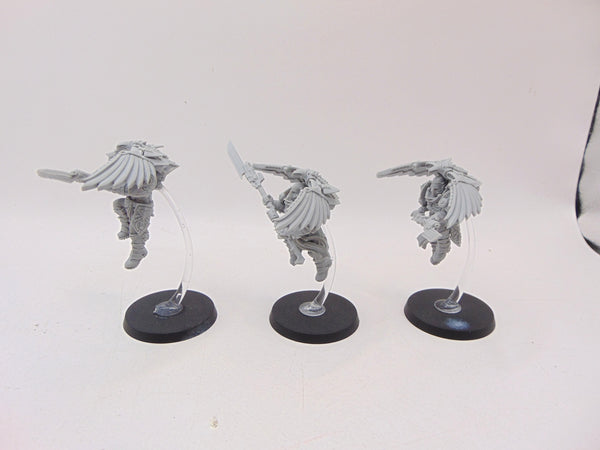 Custodian Venatari