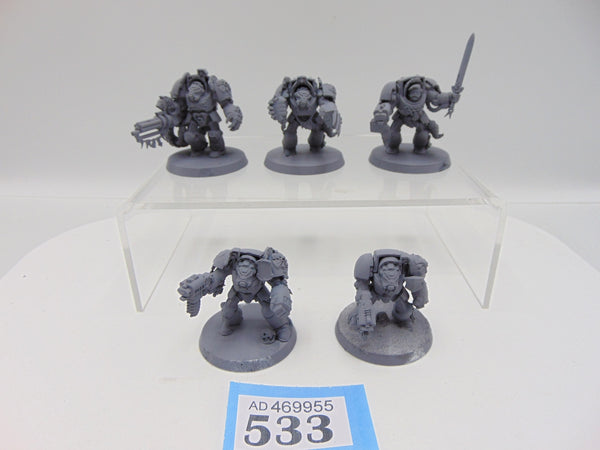 Wolf Guard Terminators