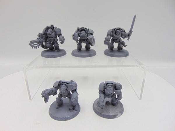 Wolf Guard Terminators