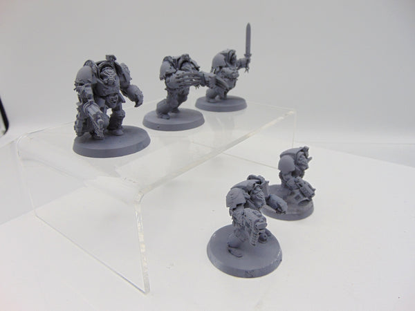 Wolf Guard Terminators