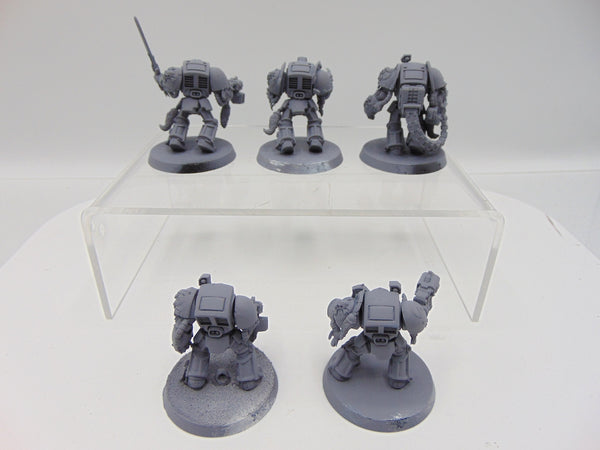 Wolf Guard Terminators