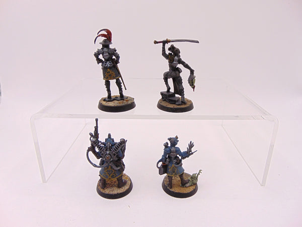 Rogue Trader Entourage