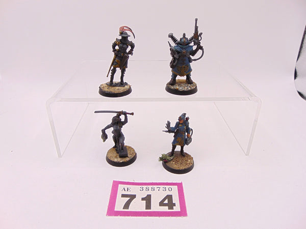 Rogue Trader Entourage