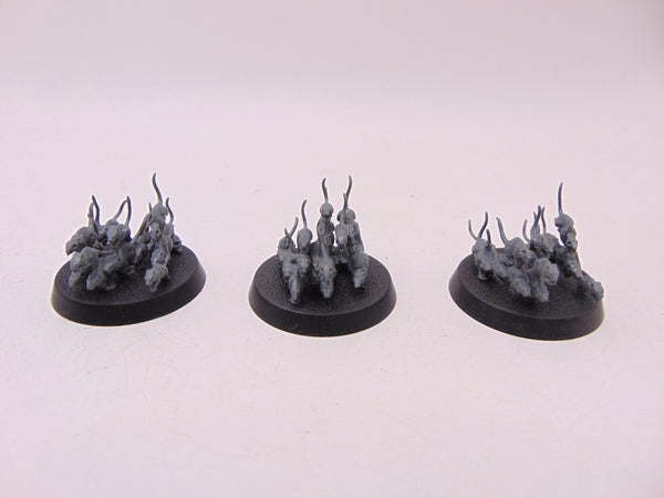Corpse Rats