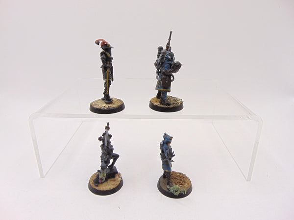 Rogue Trader Entourage