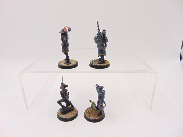 Rogue Trader Entourage